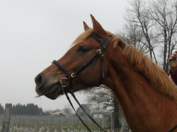 Photo de profil de alizea33670