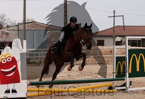 Photo de profil de ameliemuller