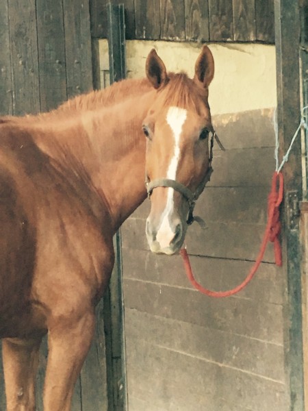 Photo de profil de amelieturf