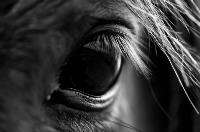 Photo de profil de amy92