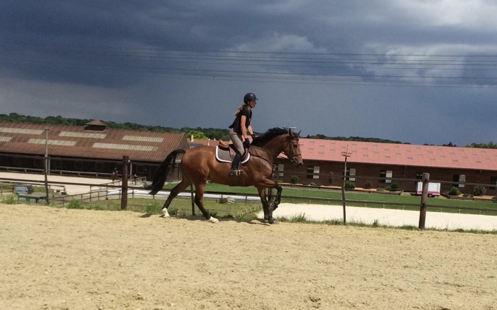 Photo de profil de anahid