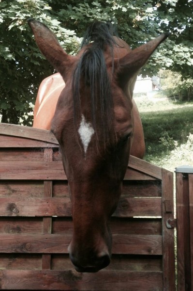 Photo de profil de anais.76130