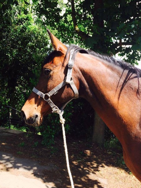 Photo de profil de angel0204