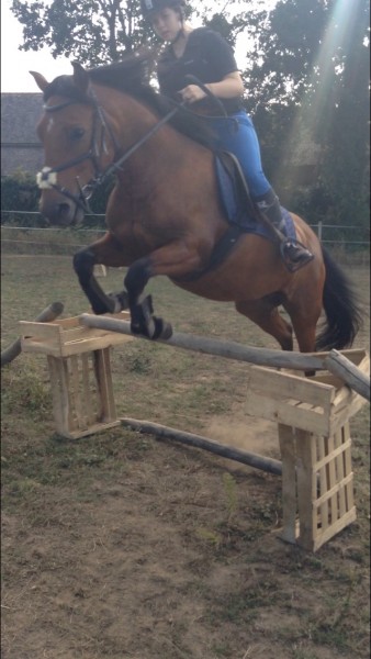 Photo de profil de angelina.lpr