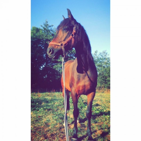 Photo de profil de anisdesvallons