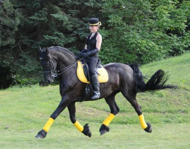 Photo de profil de anna67