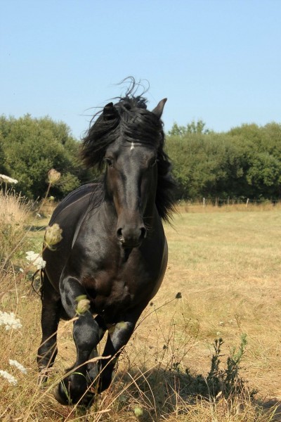 Photo de profil de annaunime