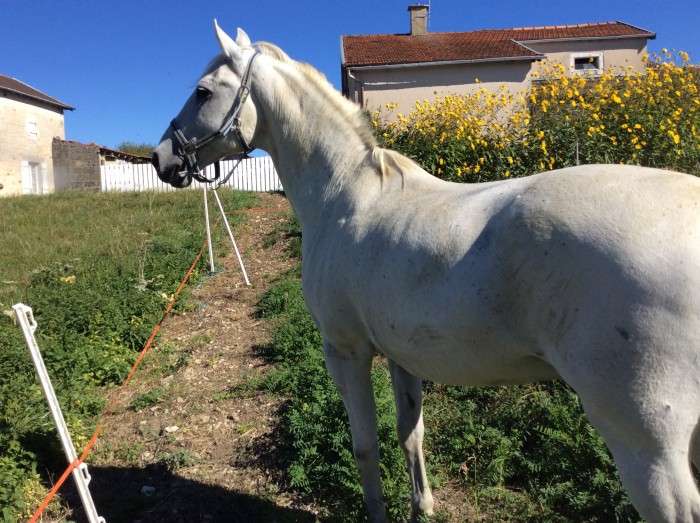 Photo de profil de apt52