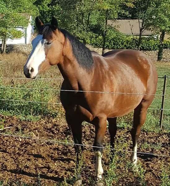 Photo de profil de arina34610