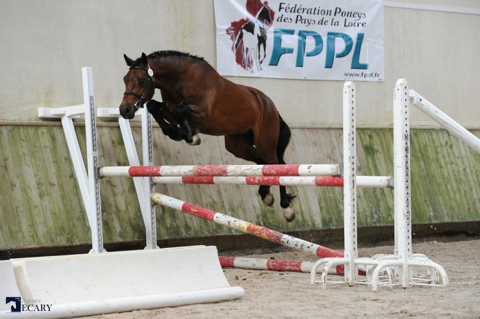 Photo de profil de arlac