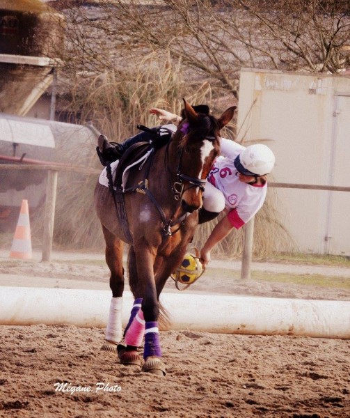 Photo de profil de arlesia