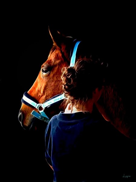 Photo de profil de ashorse