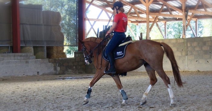 Photo de profil de aude_e