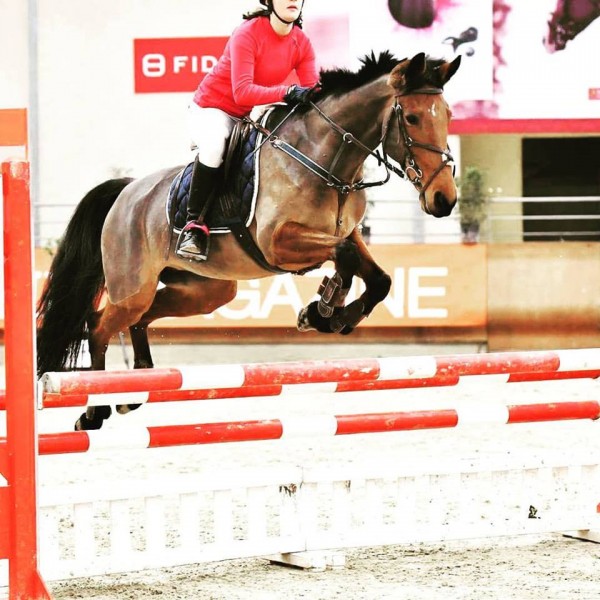 Photo de profil de aurelieb