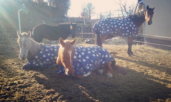 Photo de profil de aureliedu246