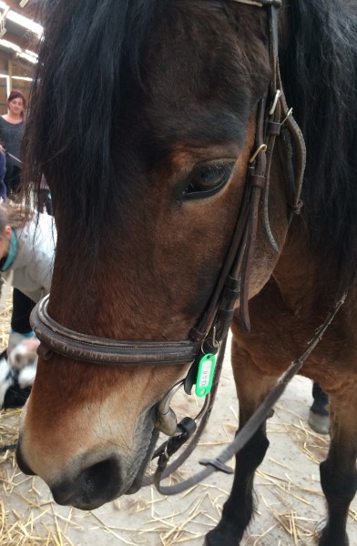 Photo de profil de avaliere06