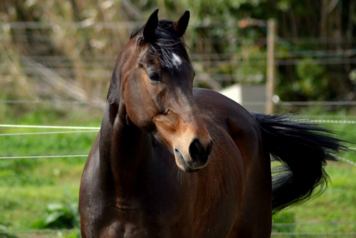 Photo de profil de avoca