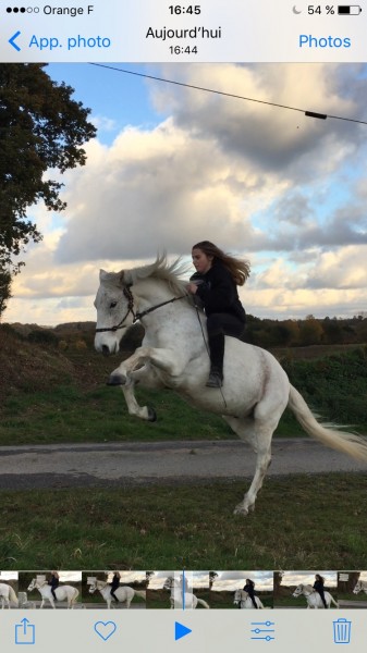 Photo de profil de aziliz.22