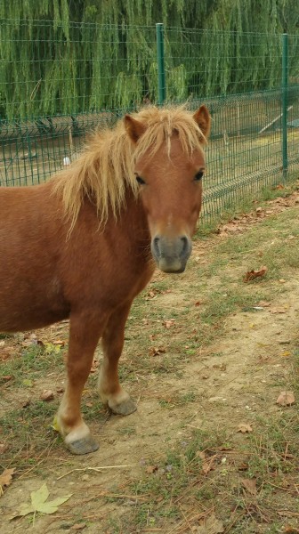 Photo de profil de bach