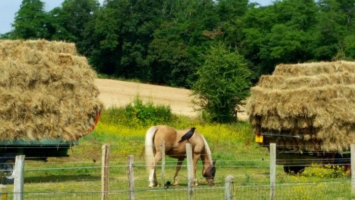 Photo de profil de balzac78840