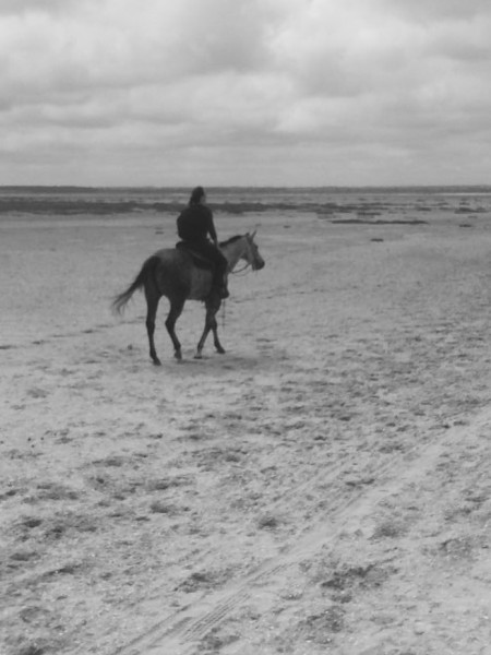 Photo de profil de barbaraid