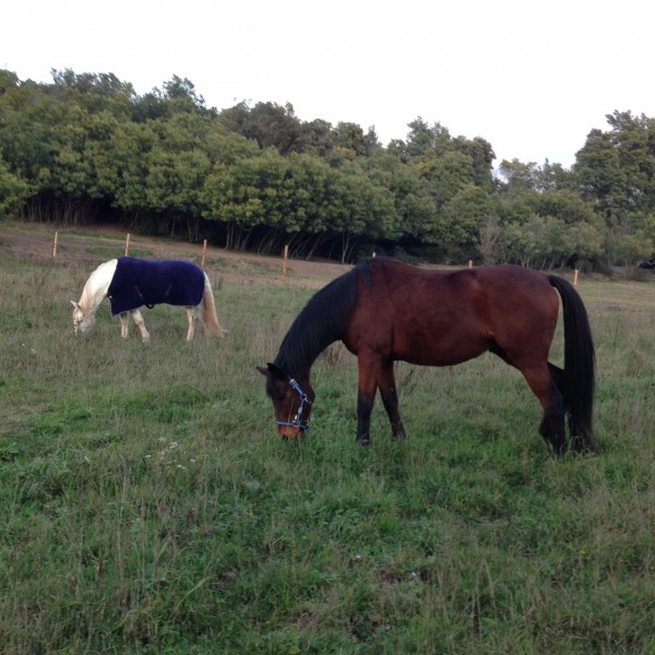 Photo de profil de bea500