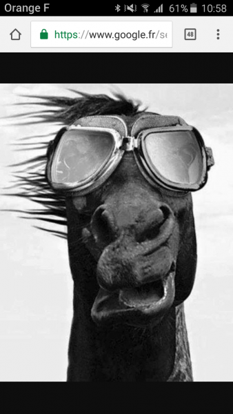 Photo de profil de betise_poilue
