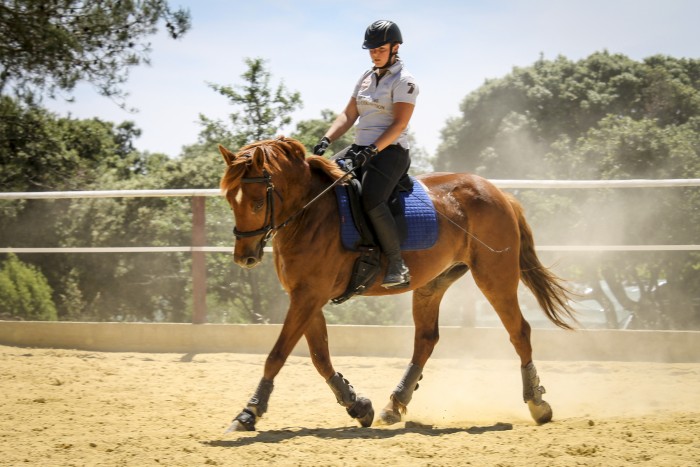 Photo de profil de bibi59