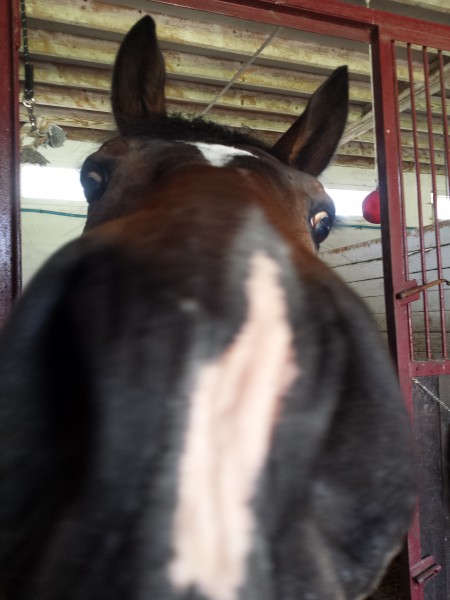 Photo de profil de blur