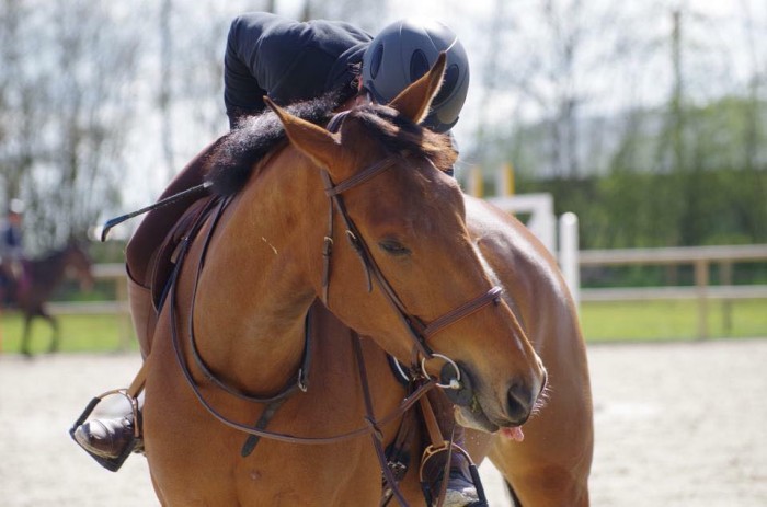 Photo de profil de boisvillars