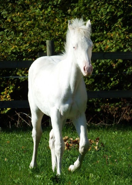 Photo de profil de bricole