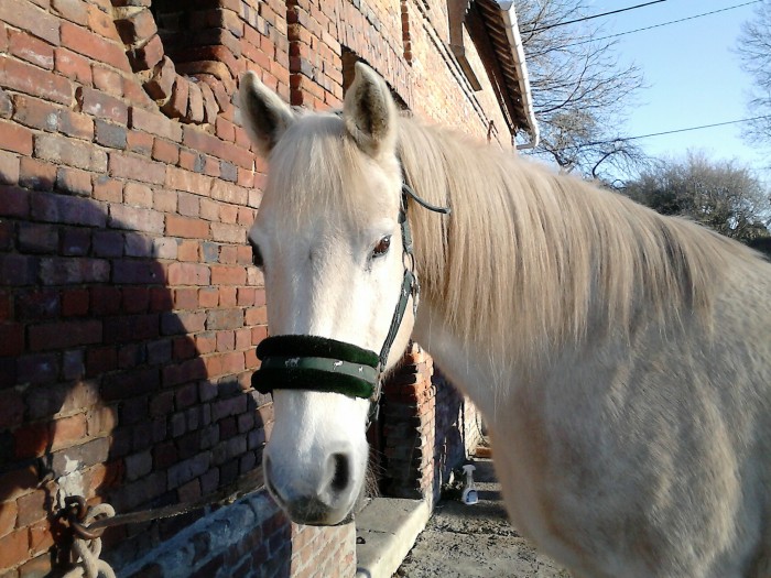 Photo de profil de britt37