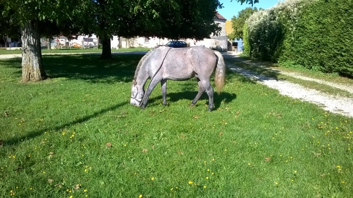 Photo de profil de broadway21