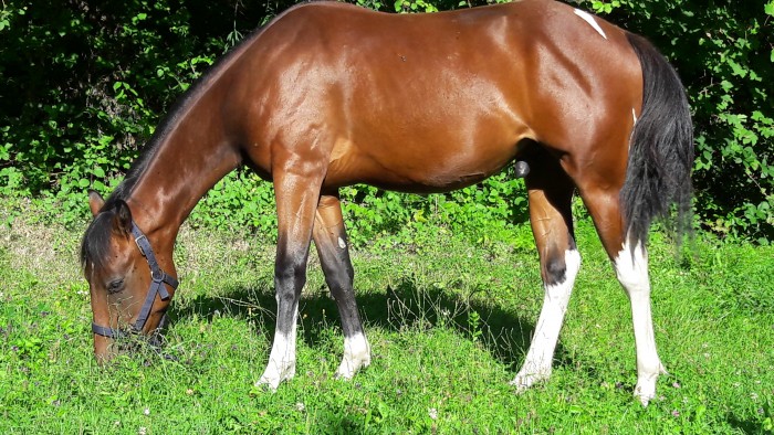 Photo de profil de buddy38