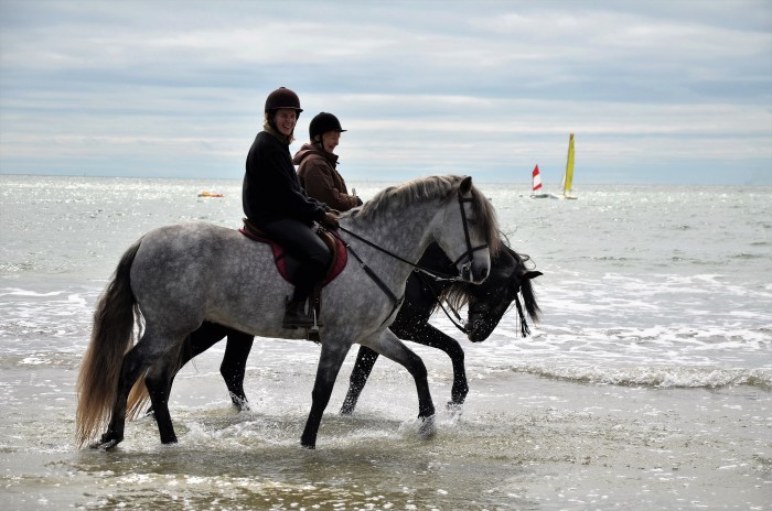 Photo de profil de buleria14