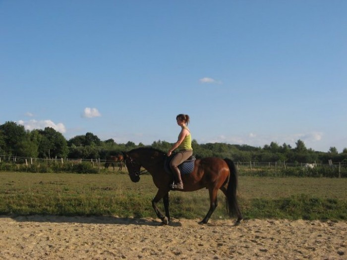 Photo de profil de calamitysteph