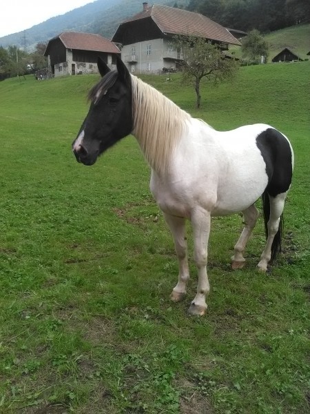 Photo de profil de calinedu73