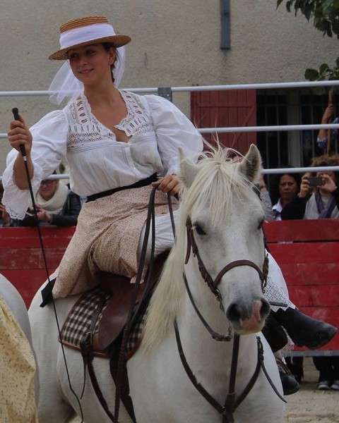 Photo de profil de camargue13000