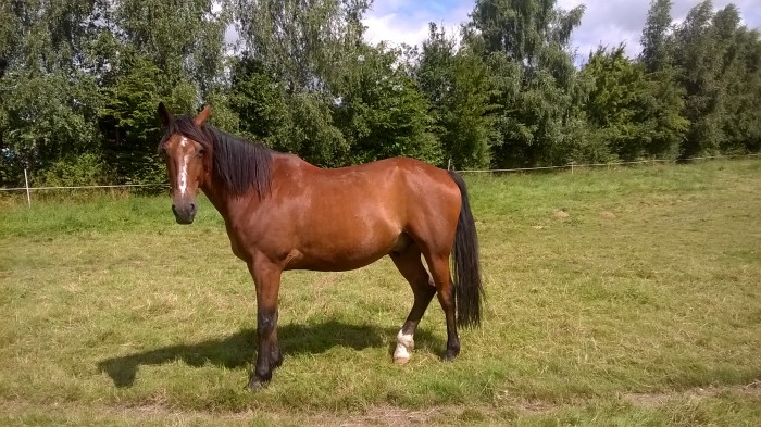 Photo de profil de cambridge