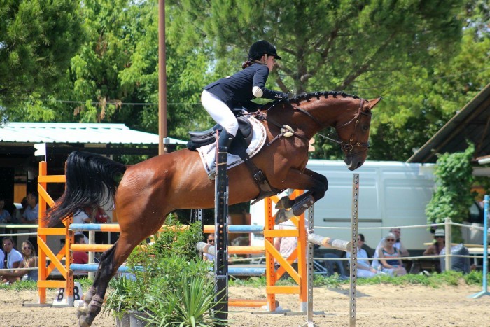 Photo de profil de camillelp