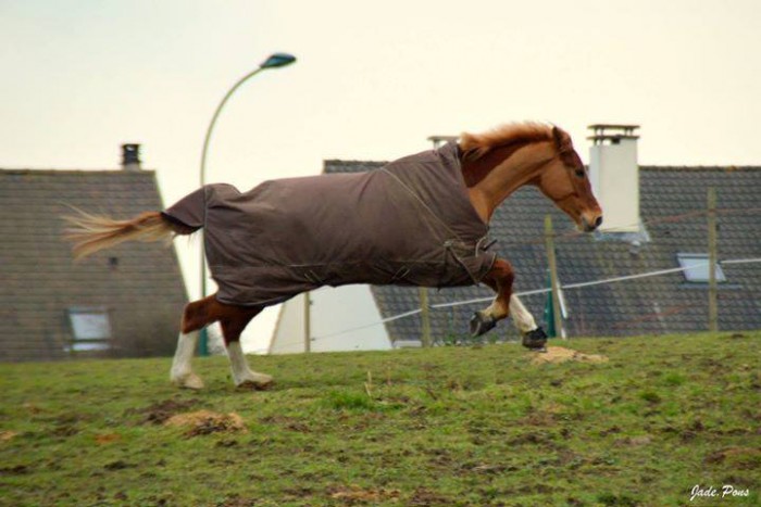 Photo de profil de camille.roue