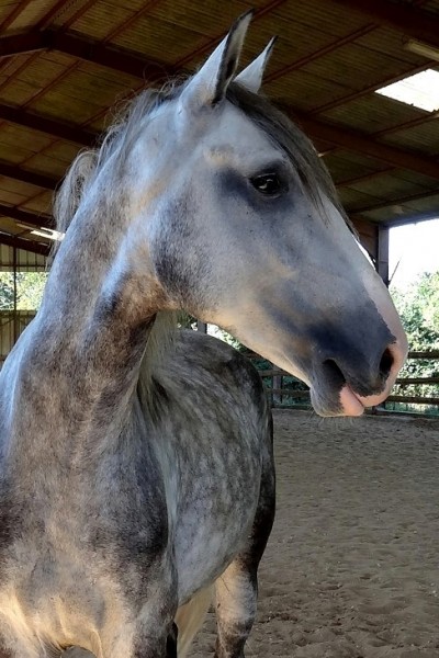 Photo de profil de carole10