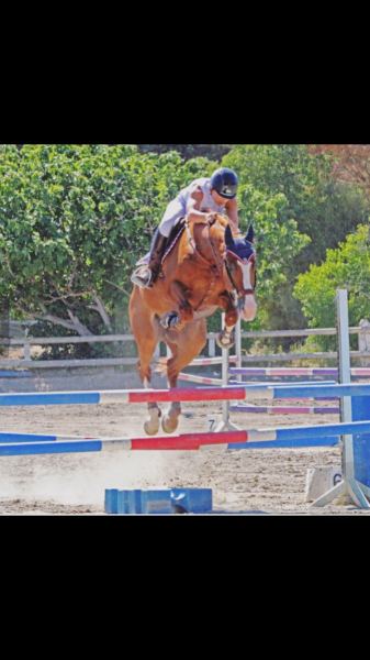 Photo de profil de carolineferrei