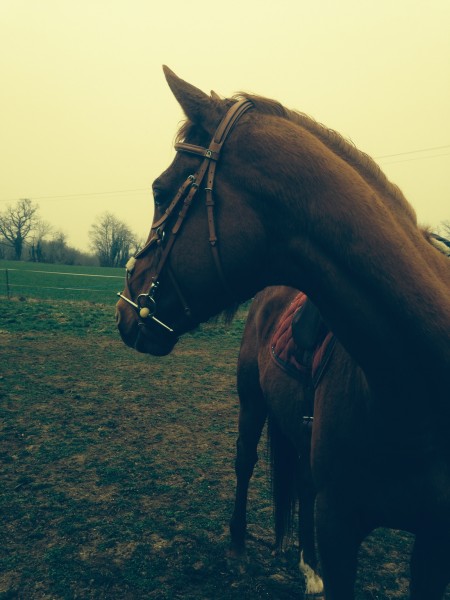 Photo de profil de carolinevd