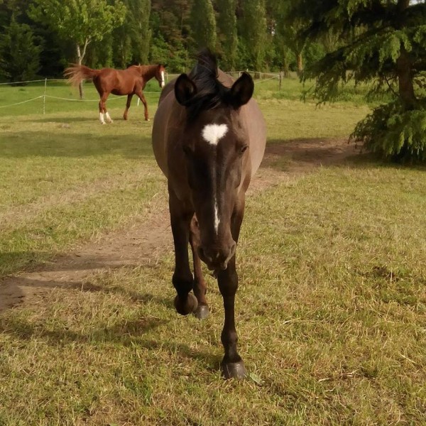 Photo de profil de carrica