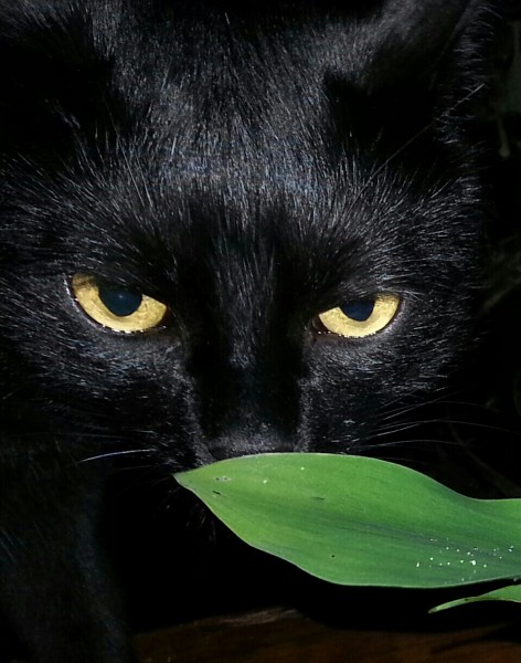 Photo de profil de casper2012
