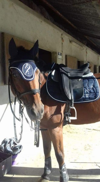 Photo de profil de chachouetmilou