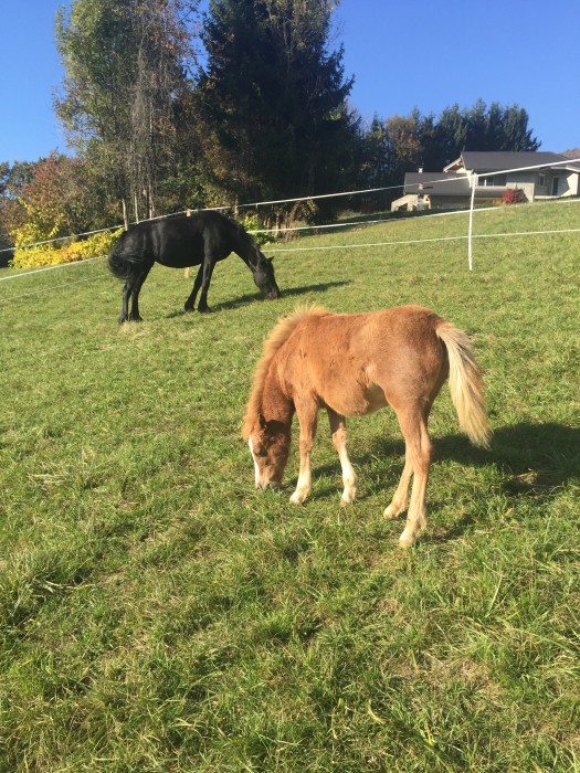 Photo de profil de chanelguimauve