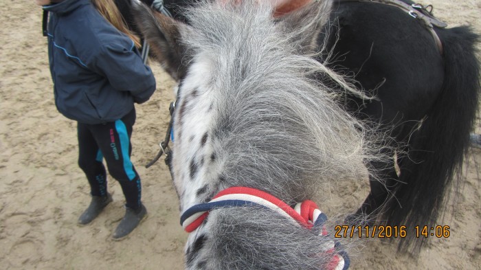 Photo de profil de cherry50