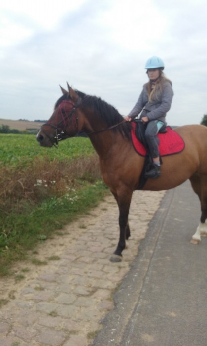 Photo de profil de cheval1m50